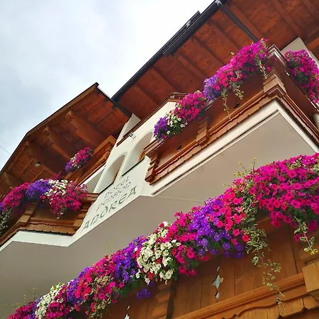 Hotel Andrea 3
